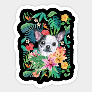 Tropical Short Haired Black and White Chihuahua Sticker